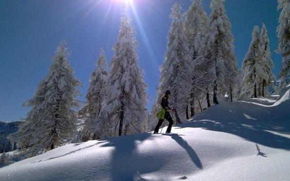Seehotel Enzian Weissensee Luaran gambar